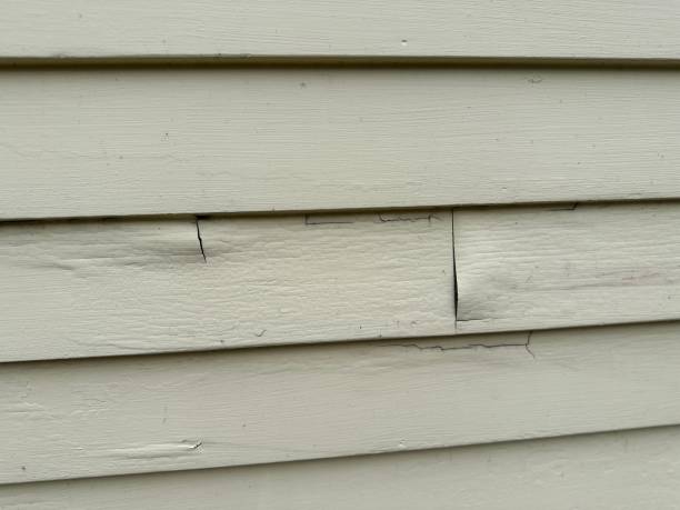 Best Siding Replacement  in Coquille, OR